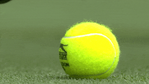 Tennis Ball Gif - GIFcen